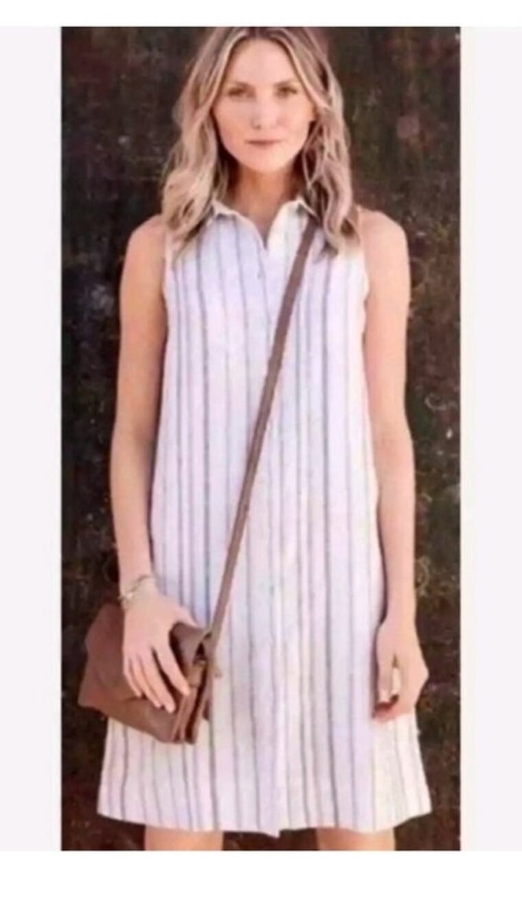 Garnet Hill Linen Sleeveless Striped Dress White Shift Minimalist Coastal Size 4